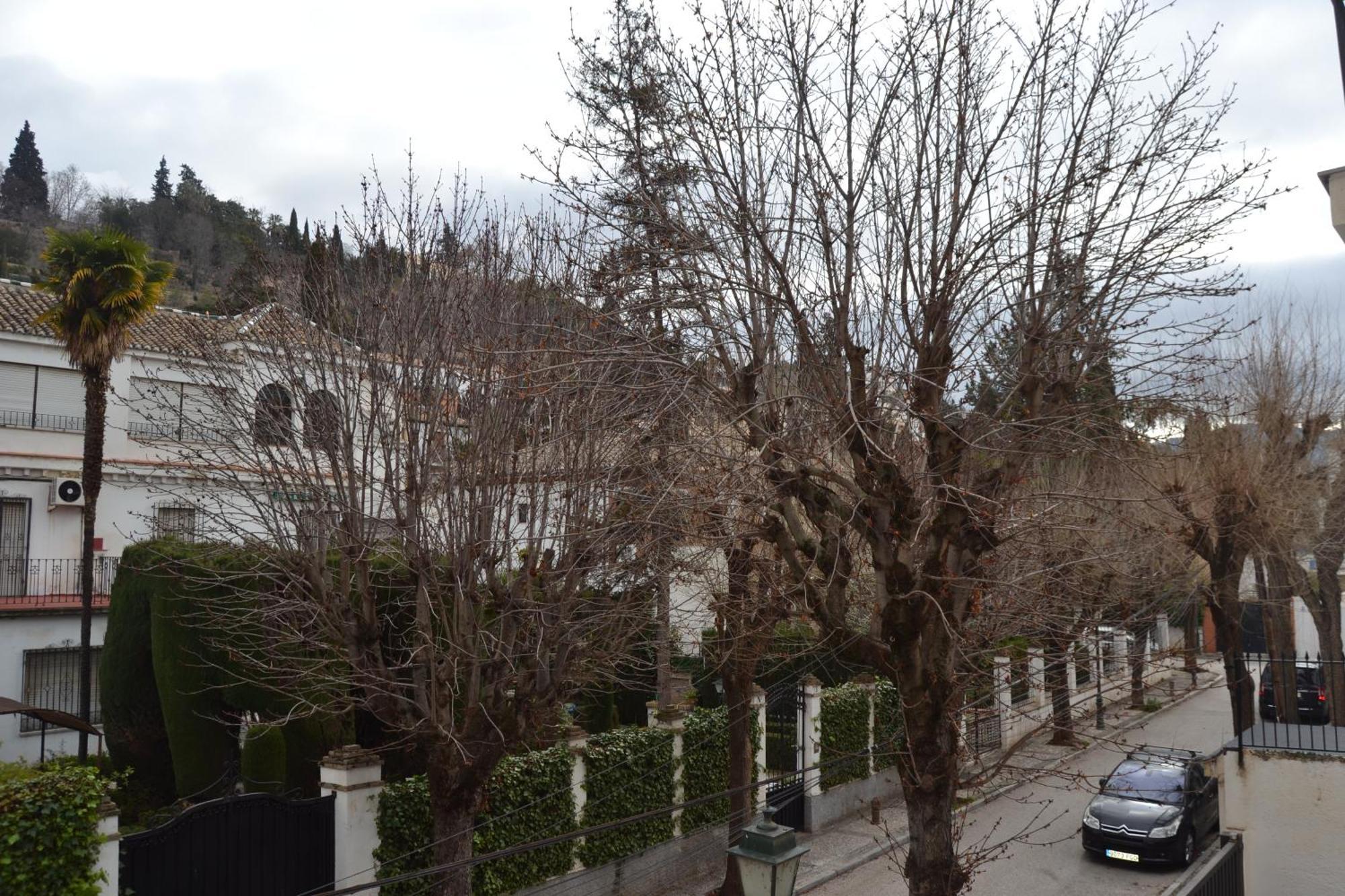 Carmen Del Cadi Διαμέρισμα Γρανάδα Εξωτερικό φωτογραφία