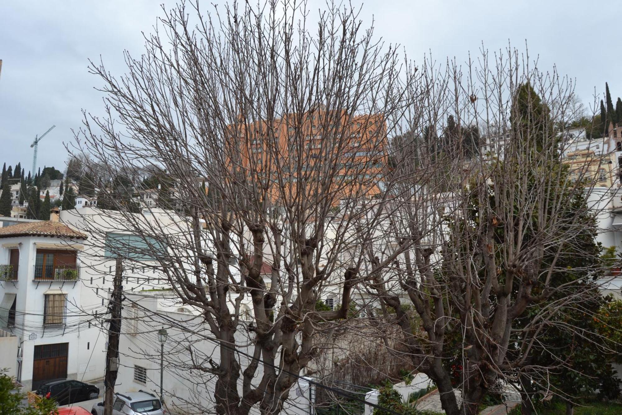 Carmen Del Cadi Διαμέρισμα Γρανάδα Εξωτερικό φωτογραφία
